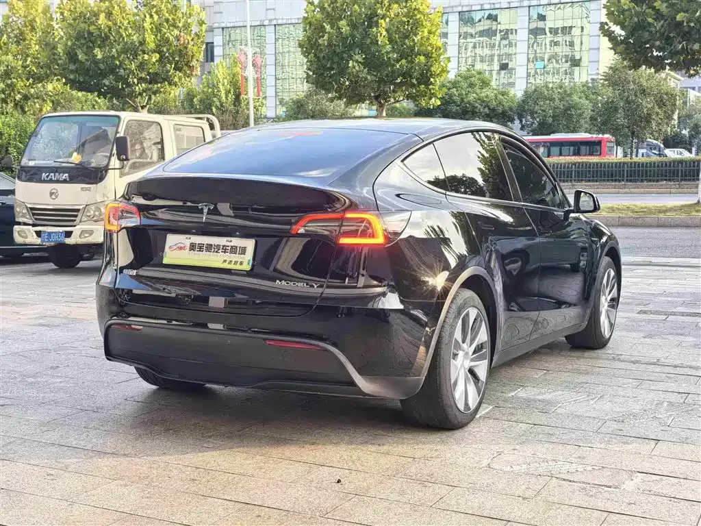 Tesla Model Y — фото 8