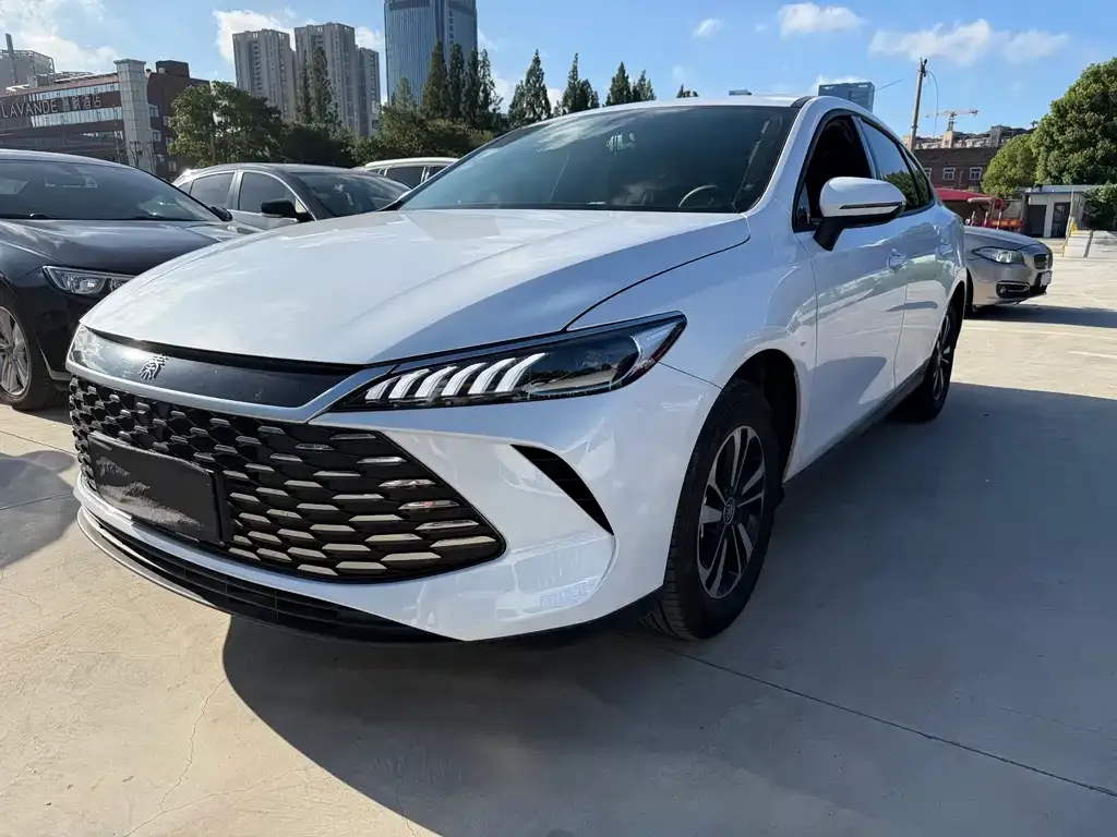 BYD Qin PLUS — фото 1