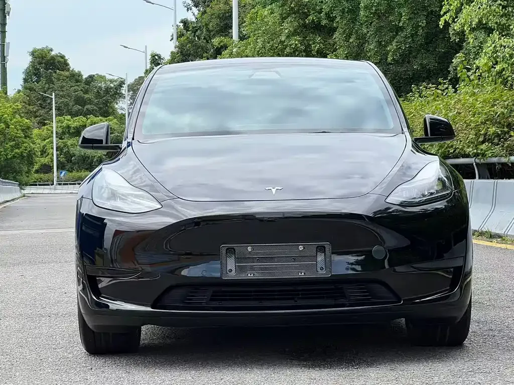 Tesla Model Y — фото 9