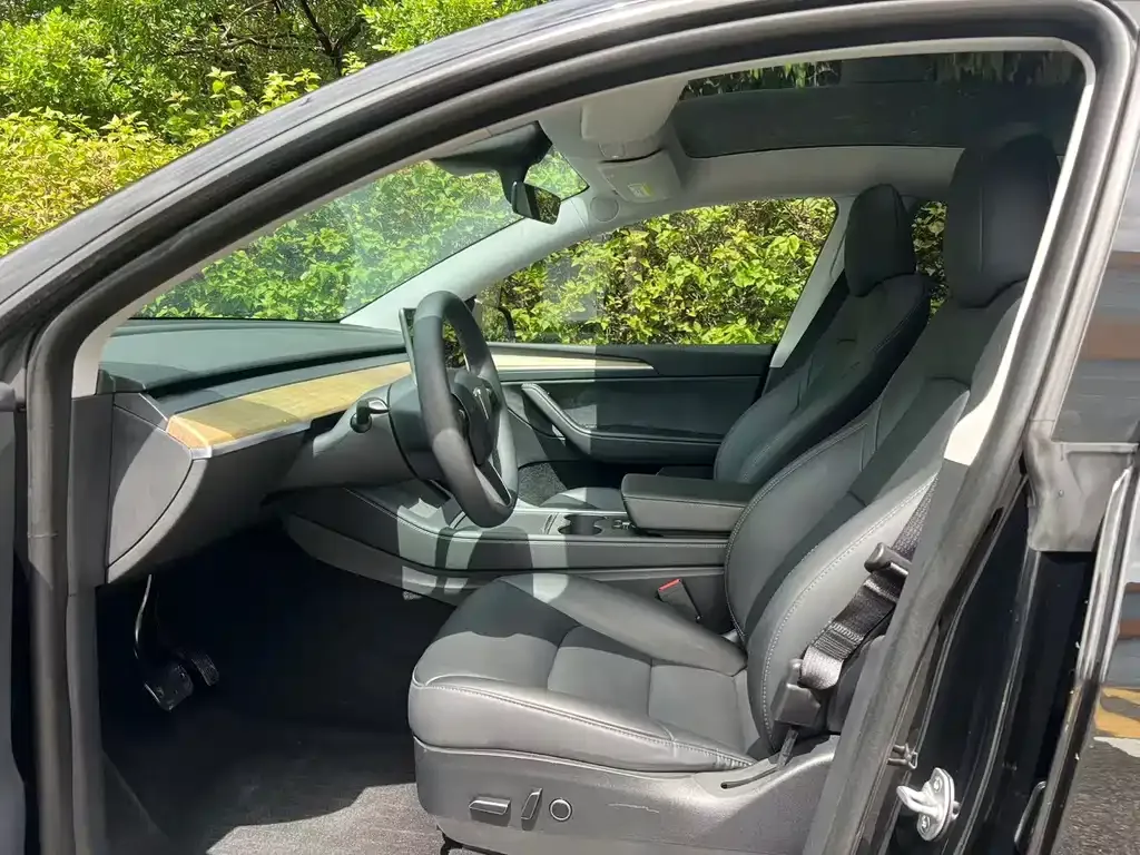 Tesla Model Y — фото 4