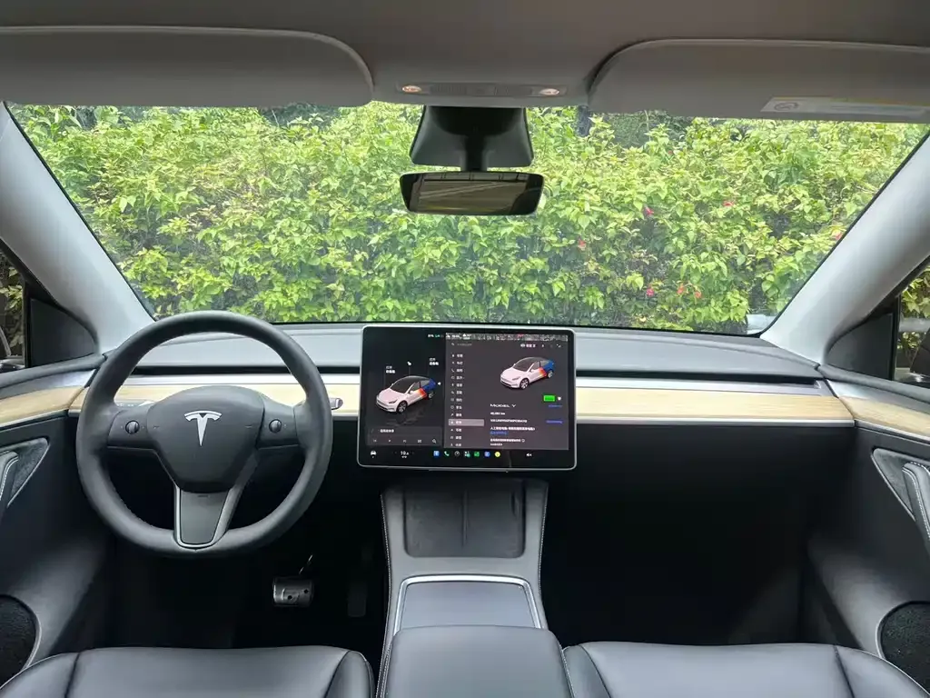 Tesla Model Y — фото 6