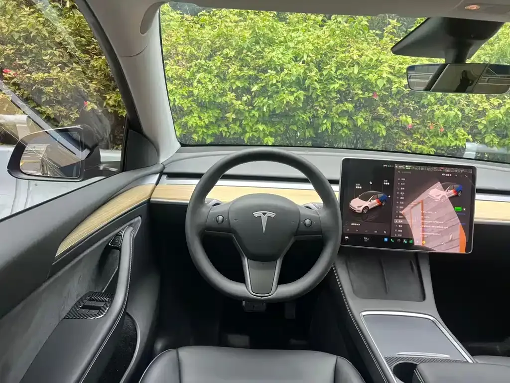 Tesla Model Y — фото 8