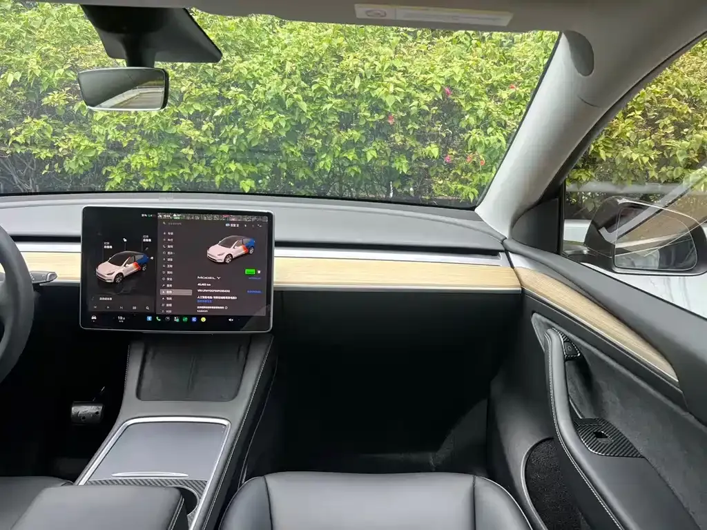 Tesla Model Y — фото 10