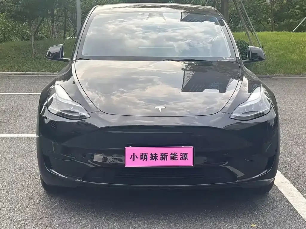 Tesla Model Y — фото 9