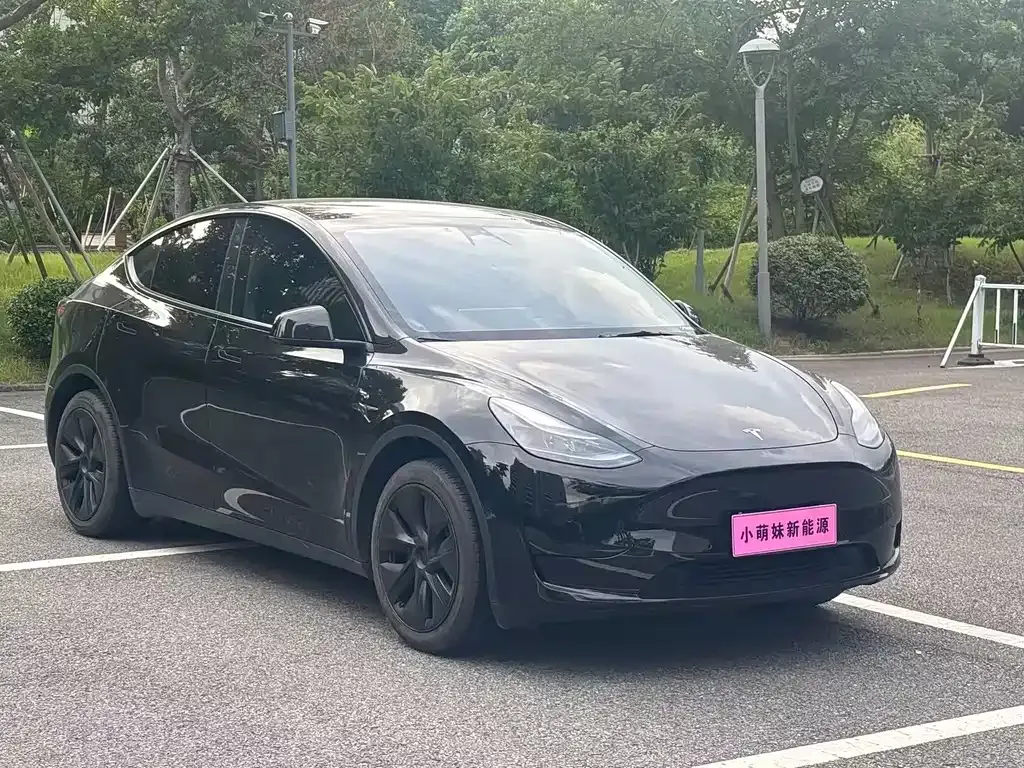 Tesla Model Y — фото 8