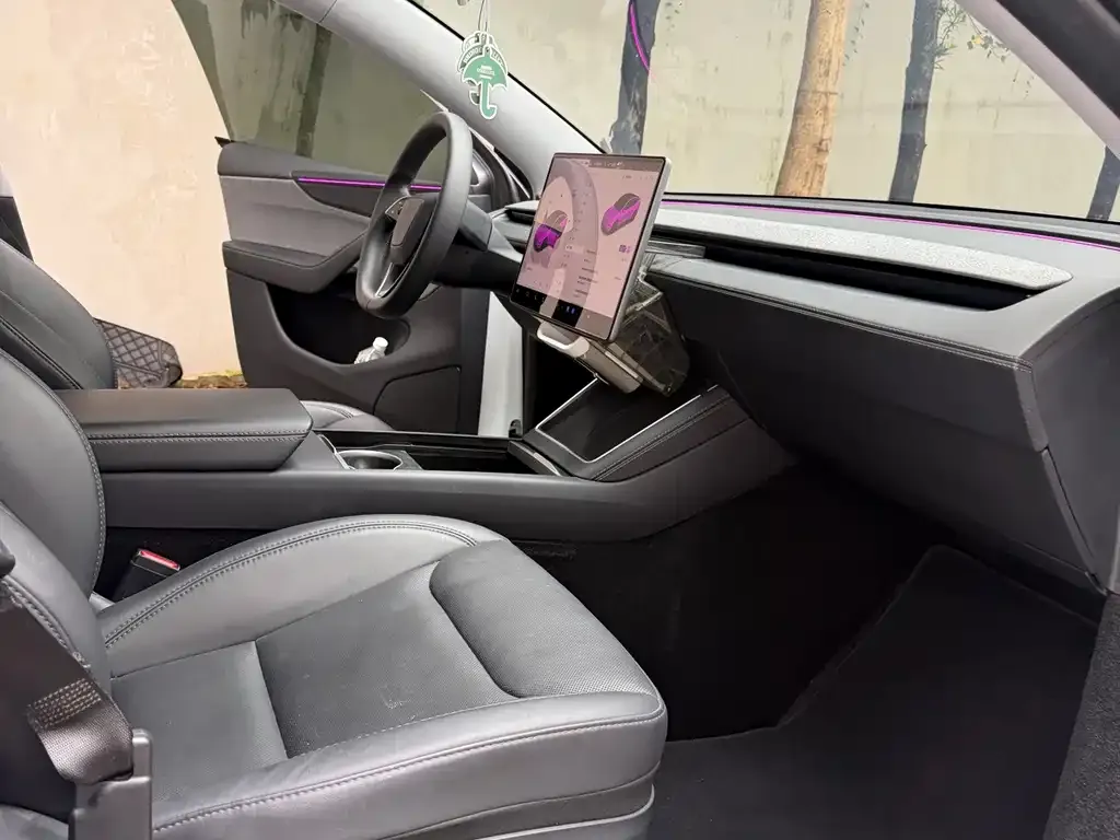 Tesla Model Y — фото 2