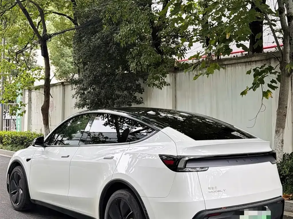 Tesla Model Y — фото 5