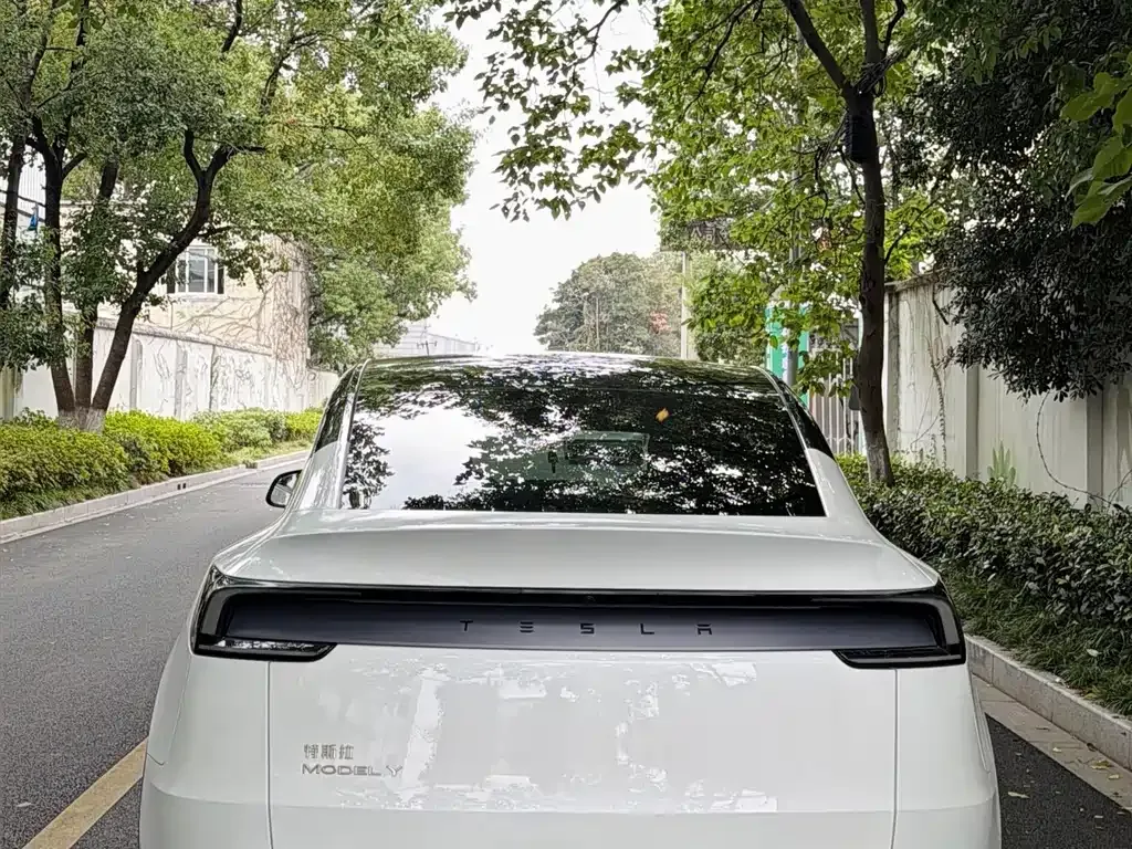 Tesla Model Y — фото 7