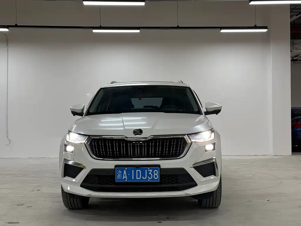 Skoda Kodiaq — фото 2