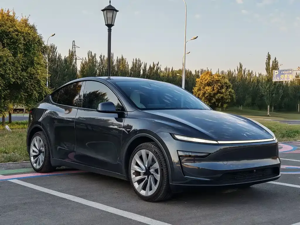 Tesla Model Y — фото 3