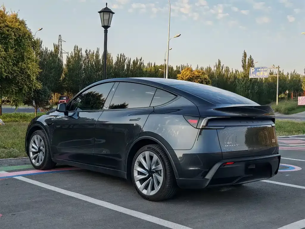 Tesla Model Y — фото 4