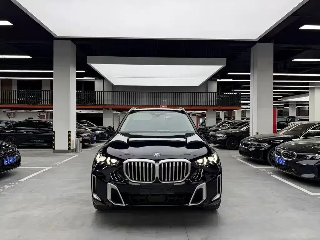 BMW X5 — фото 10