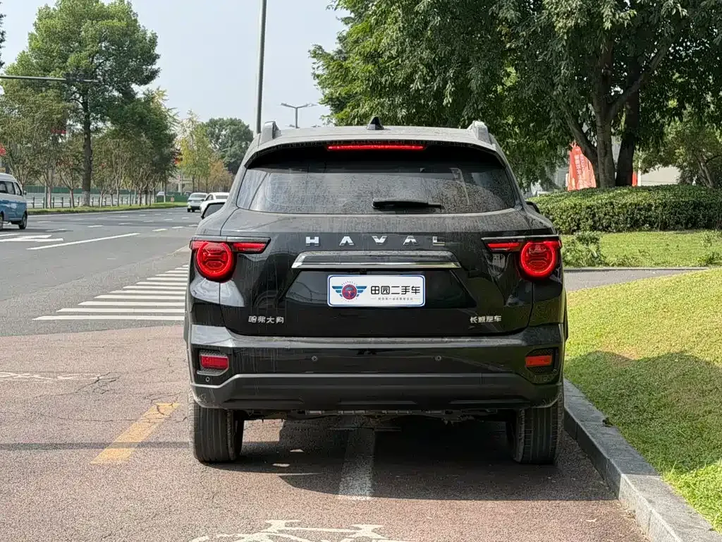 Haval Big Dog PLUS — фото 10
