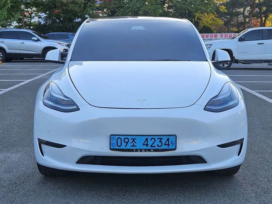 Tesla Model Y — фото 1