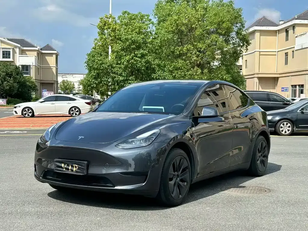 Tesla Model Y — фото 1