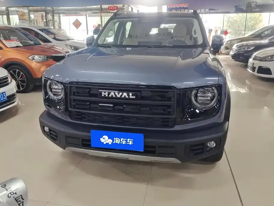 Haval Big Dog — фото 6