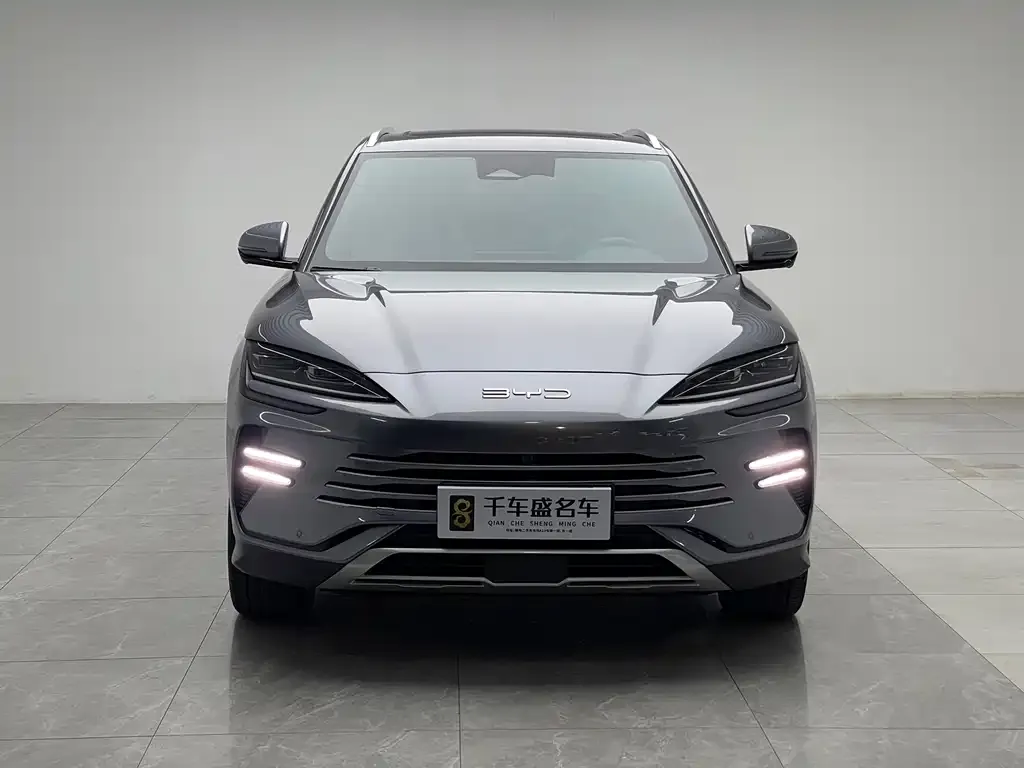 BYD PLUS New Energy — фото 3