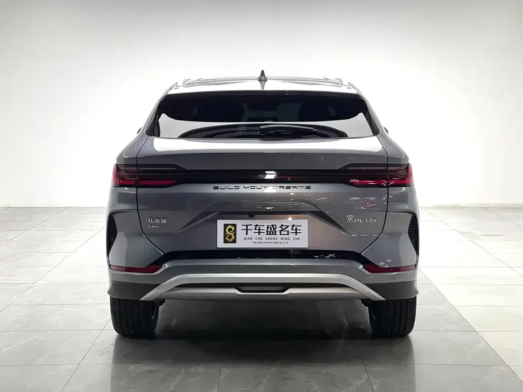 BYD PLUS New Energy — фото 7