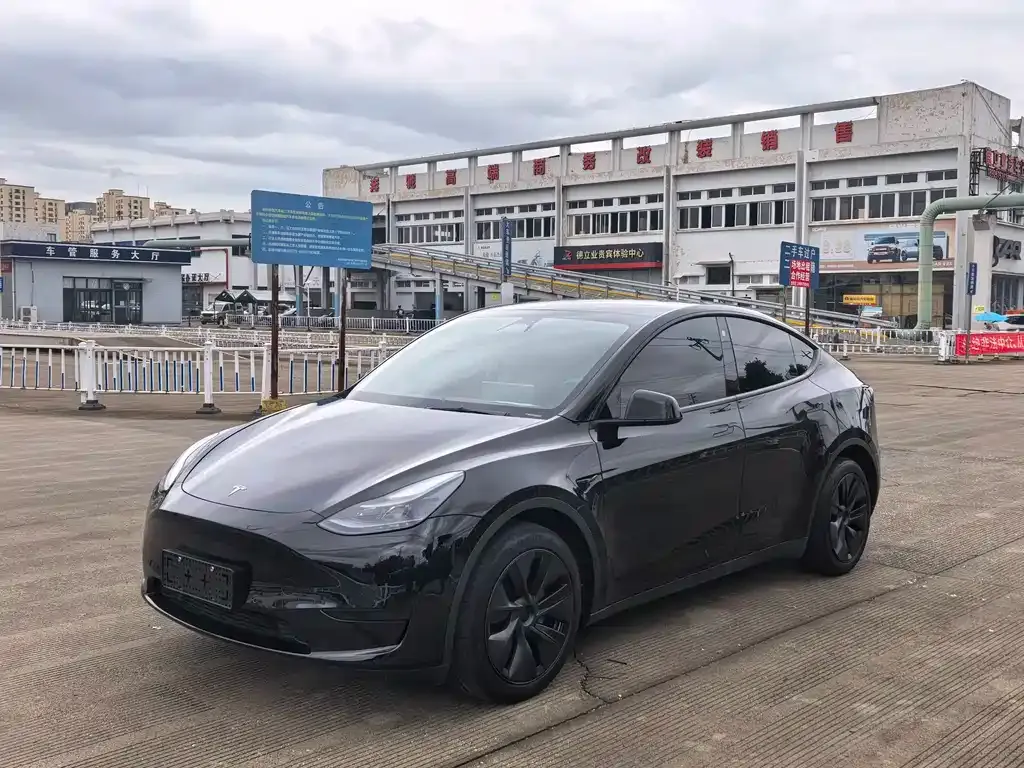 Tesla Model Y — фото 1