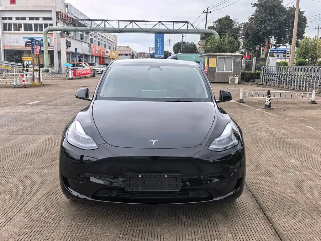 Tesla Model Y — фото 6