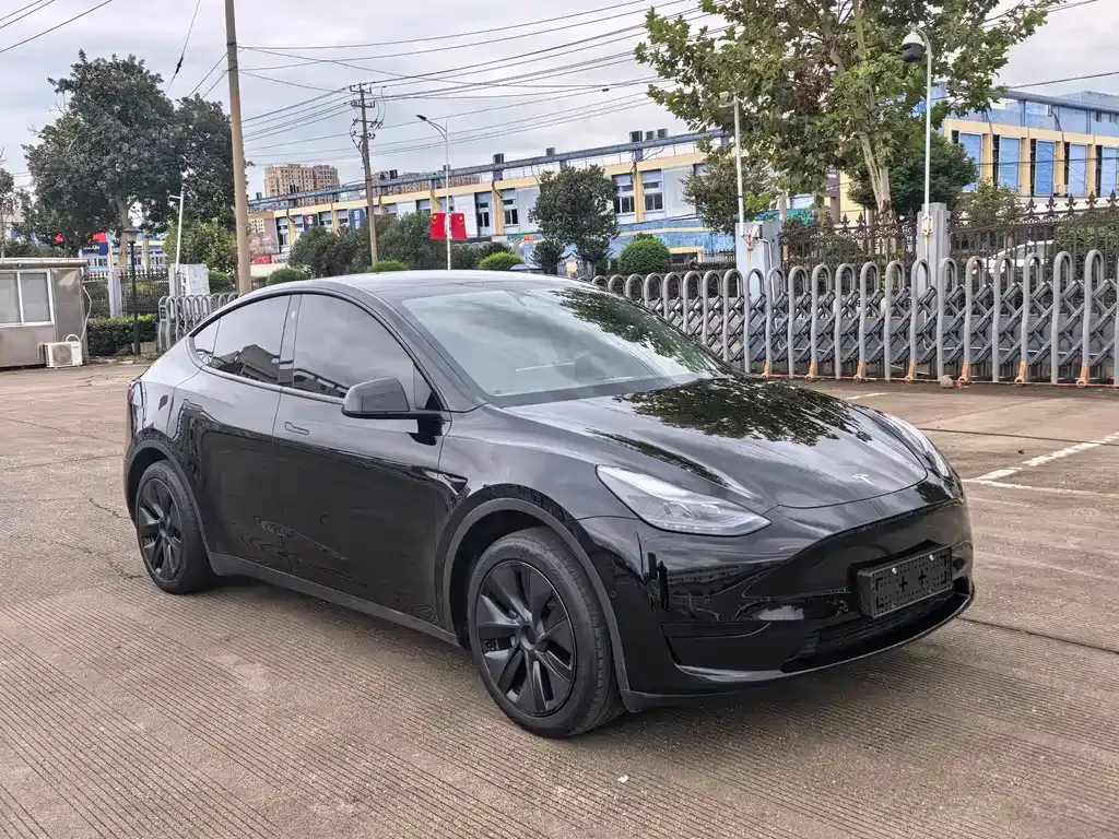 Tesla Model Y — фото 9
