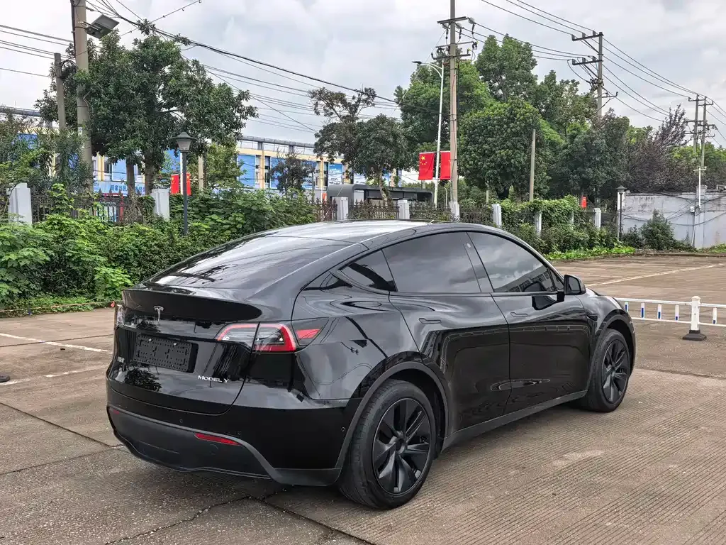 Tesla Model Y — фото 10