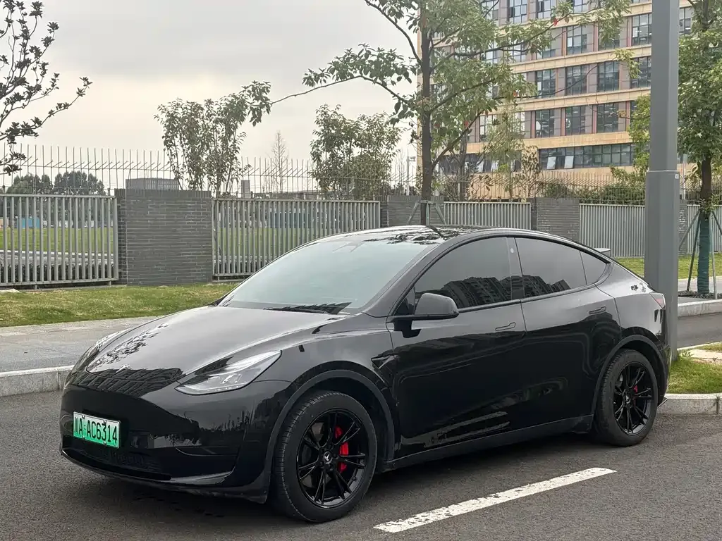 Tesla Model Y — фото 1