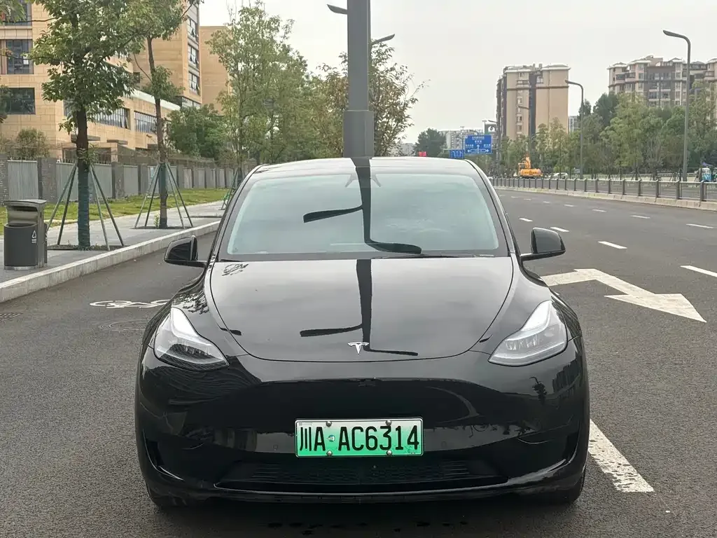 Tesla Model Y — фото 8