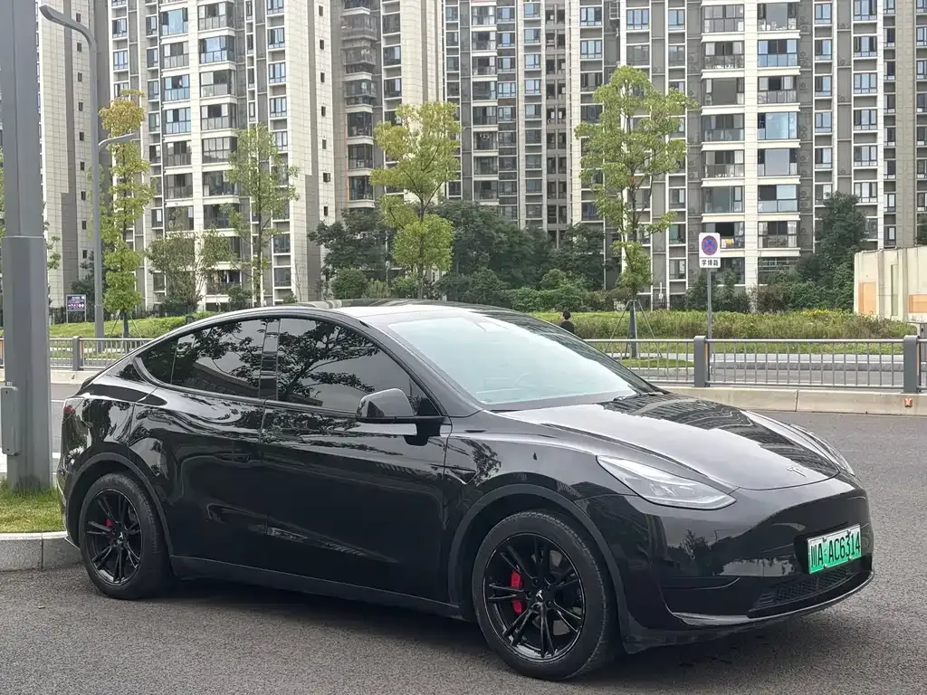 Tesla Model Y — фото 9