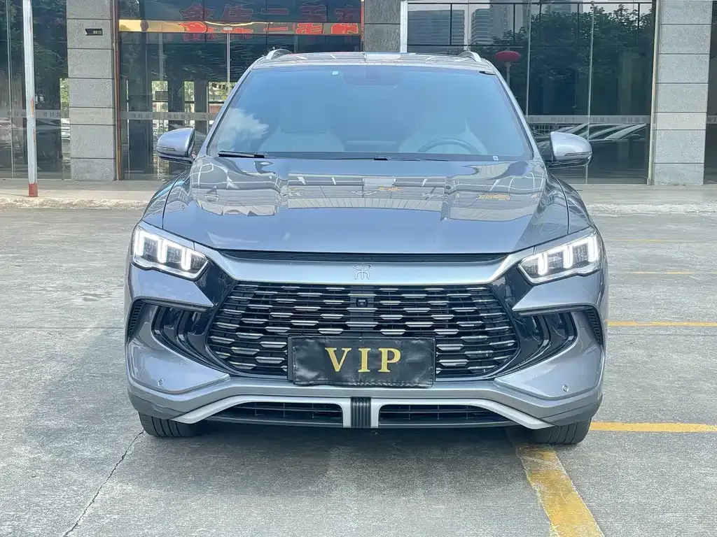 BYD Pro New Energy — фото 3