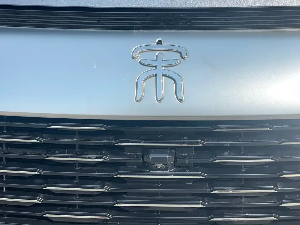 BYD Pro New Energy — фото 8