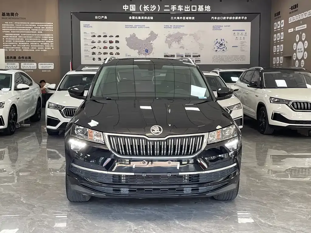 Skoda Karoq — фото 10