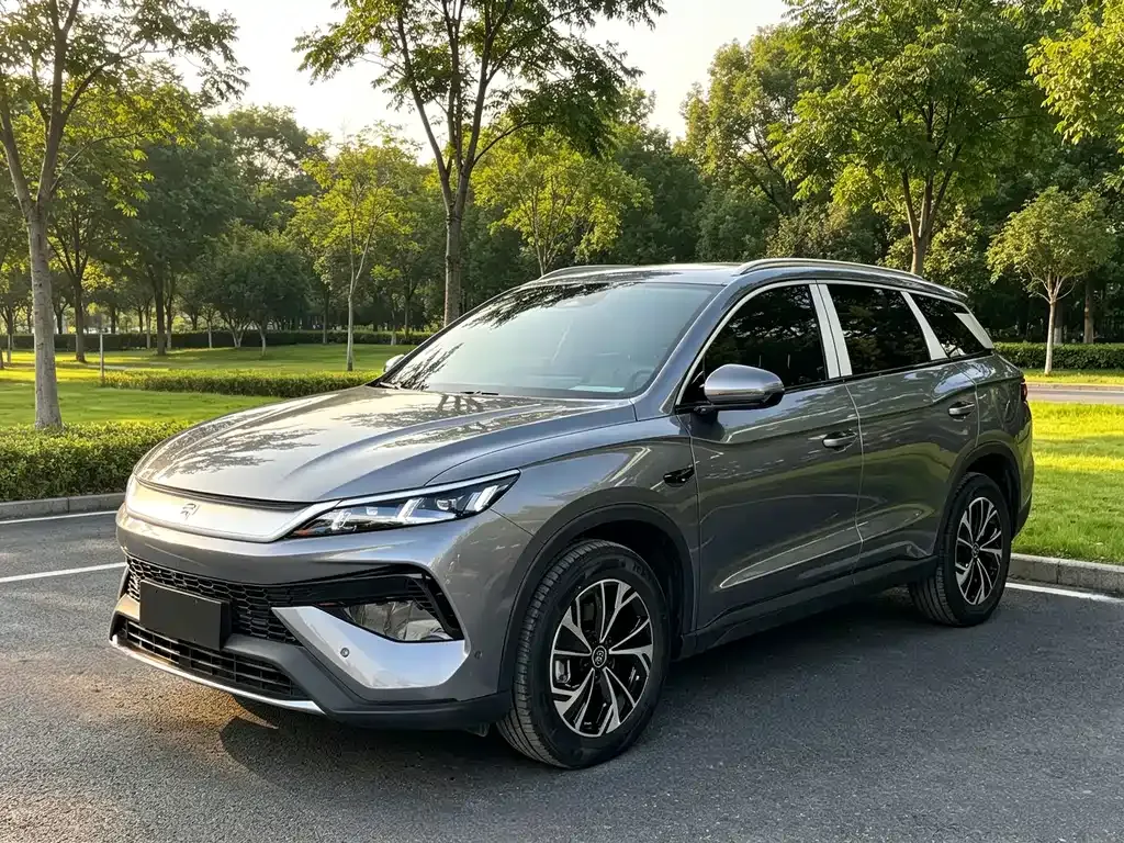 BYD Pro New Energy — фото 1
