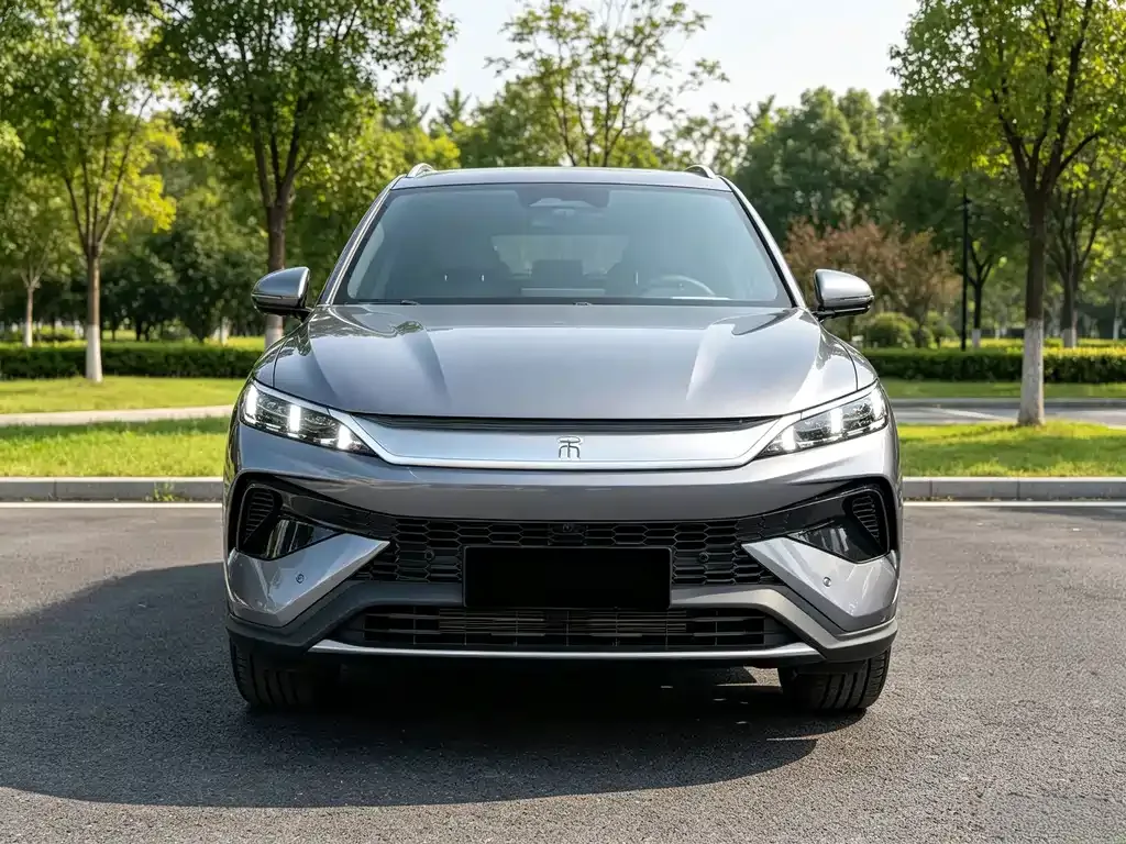BYD Pro New Energy — фото 6