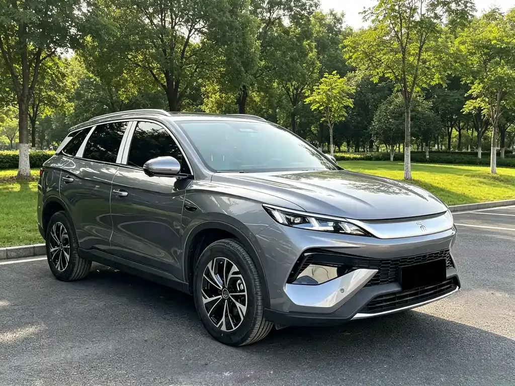 BYD Pro New Energy — фото 4