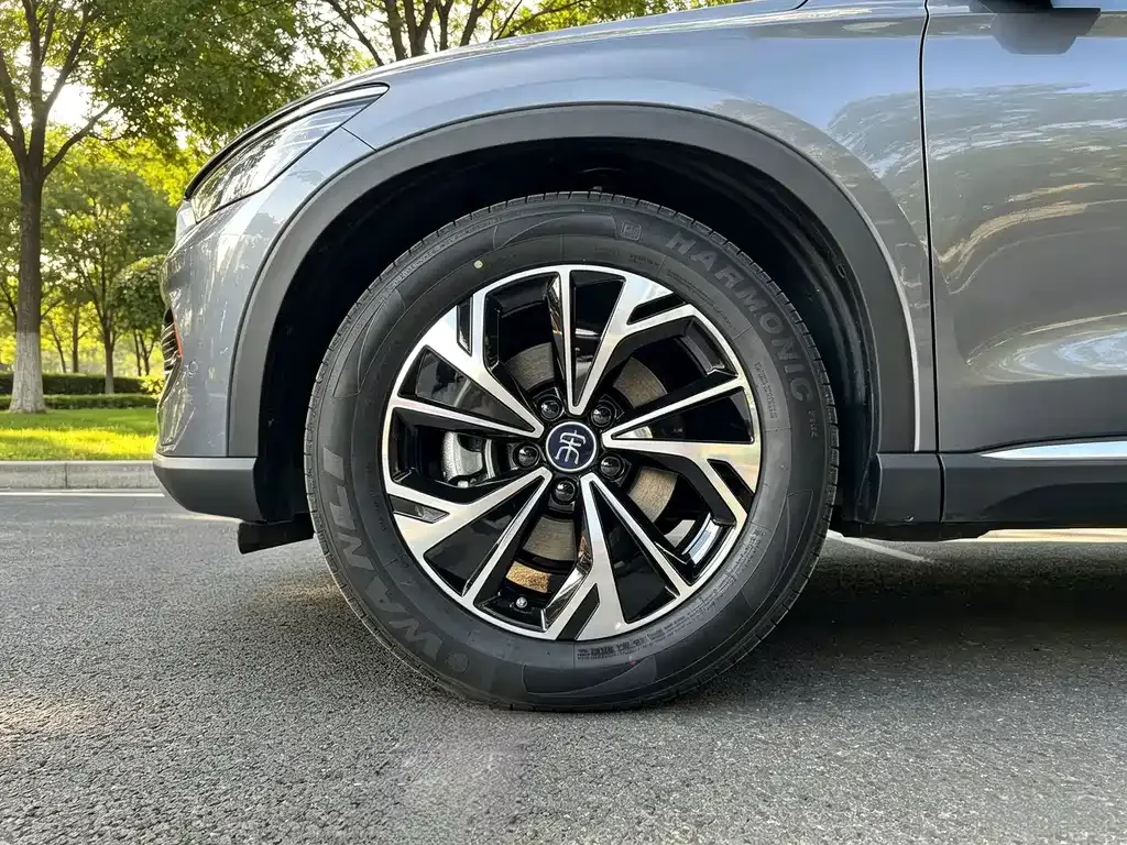 BYD Pro New Energy — фото 9
