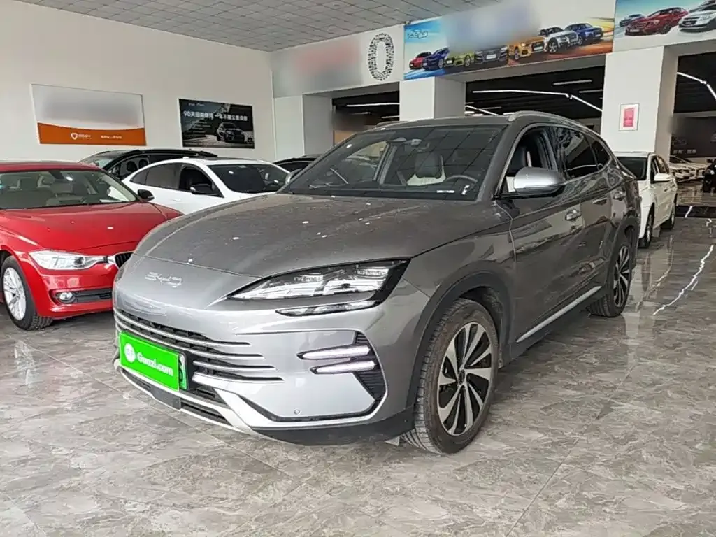 BYD PLUS New Energy — фото 1