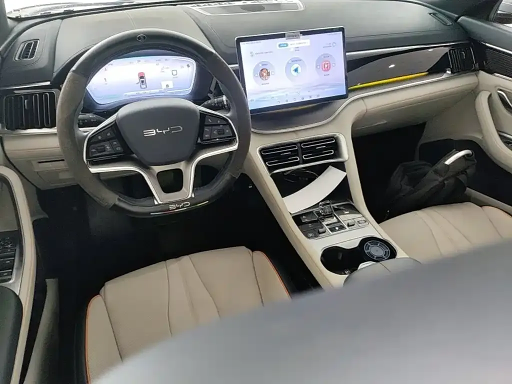 BYD PLUS New Energy — фото 10