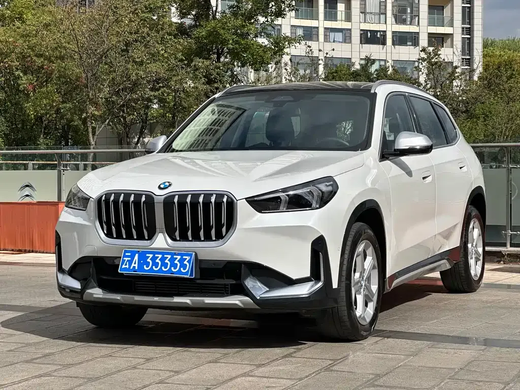 BMW X1 — фото 1