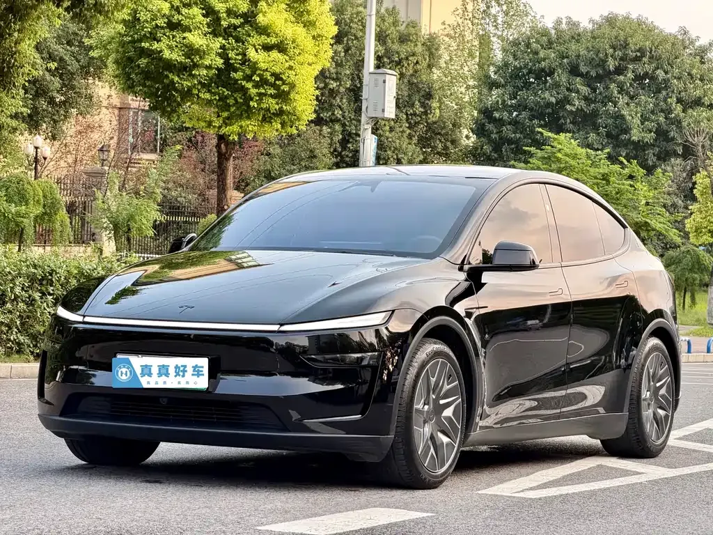 Tesla Model Y L — фото 1
