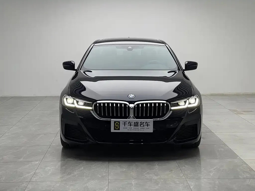 BMW 5 Series New Energy — фото 9