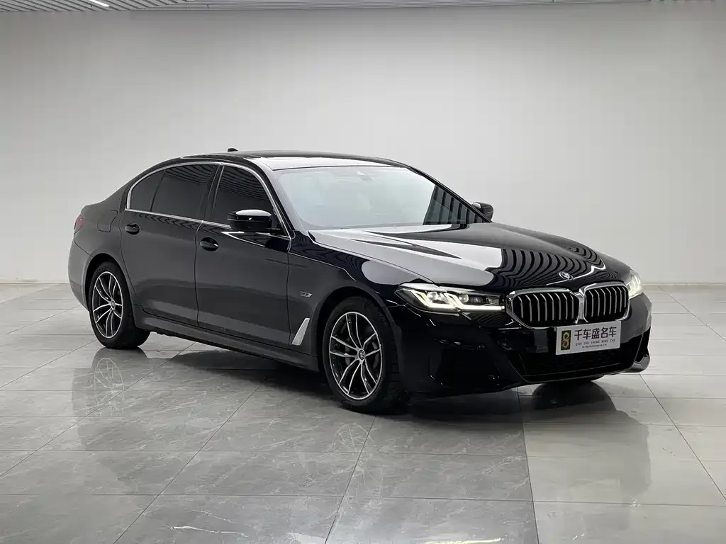 BMW 5 Series New Energy — фото 5
