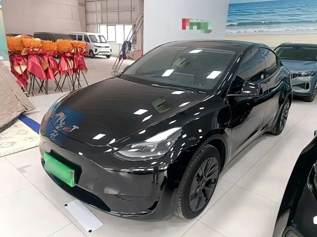 Tesla Model Y — фото 1