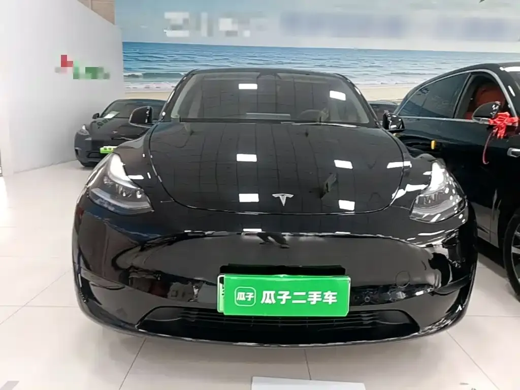 Tesla Model Y — фото 5