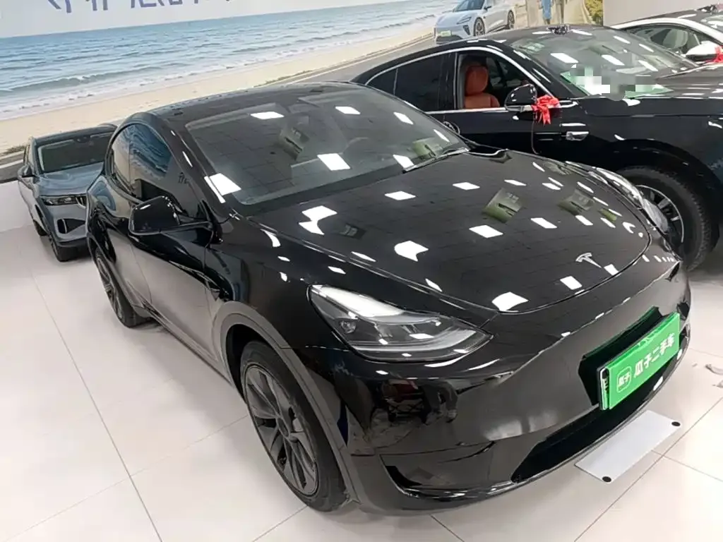 Tesla Model Y — фото 9
