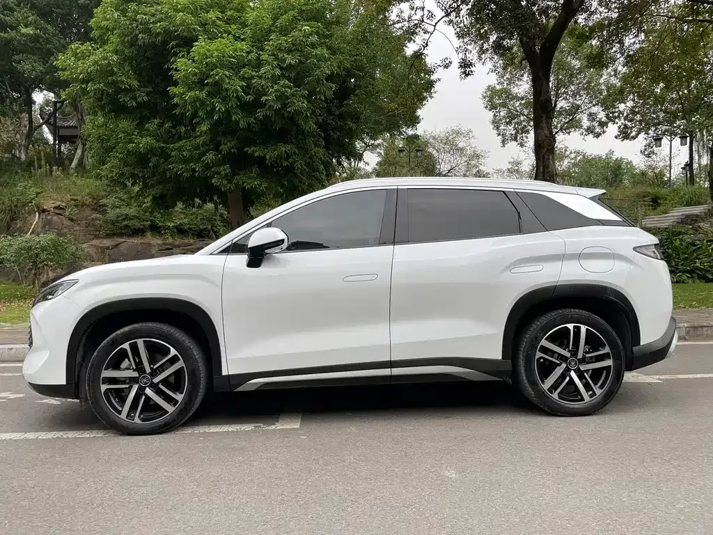 BYD L DM-i — фото 8