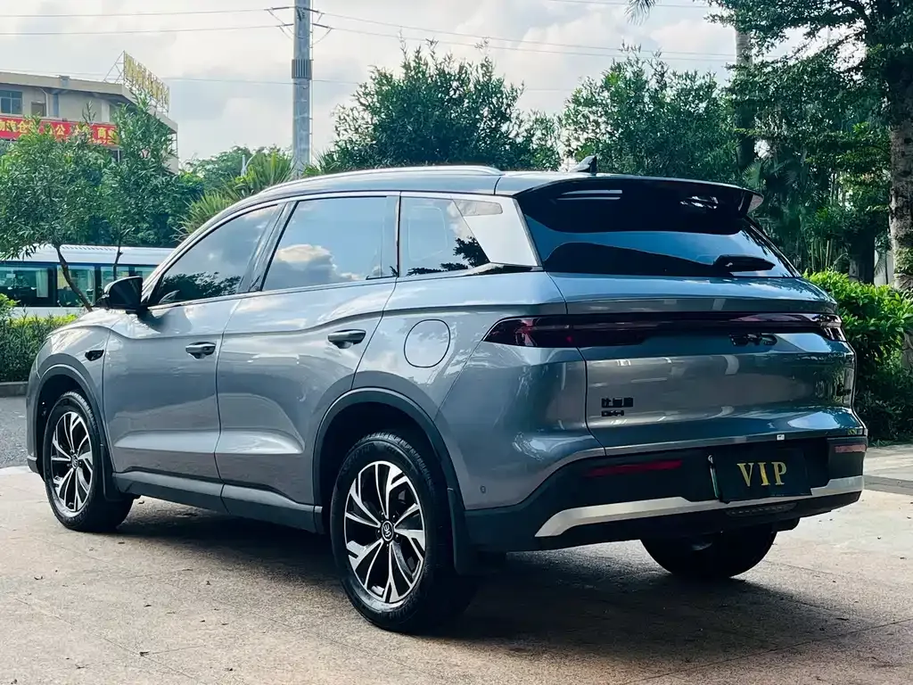 BYD Pro New Energy — фото 6