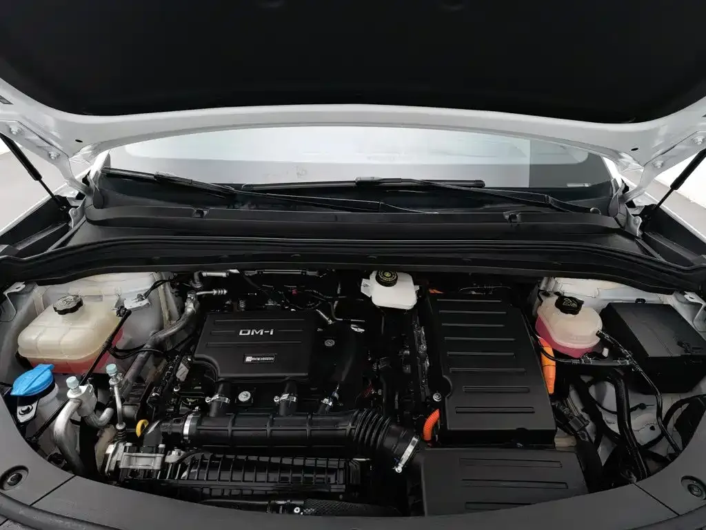BYD L DM-i — фото 10