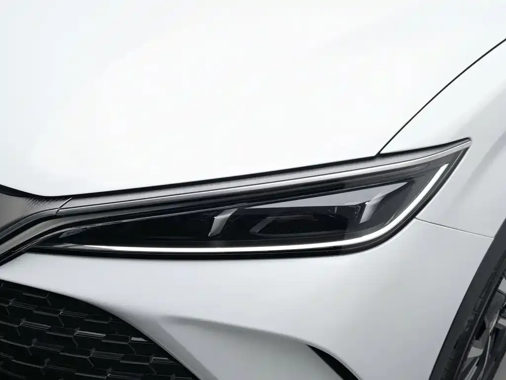 BYD L DM-i — фото 6