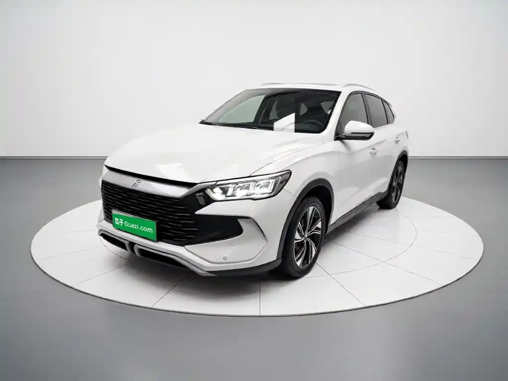 BYD Pro New Energy — фото 1